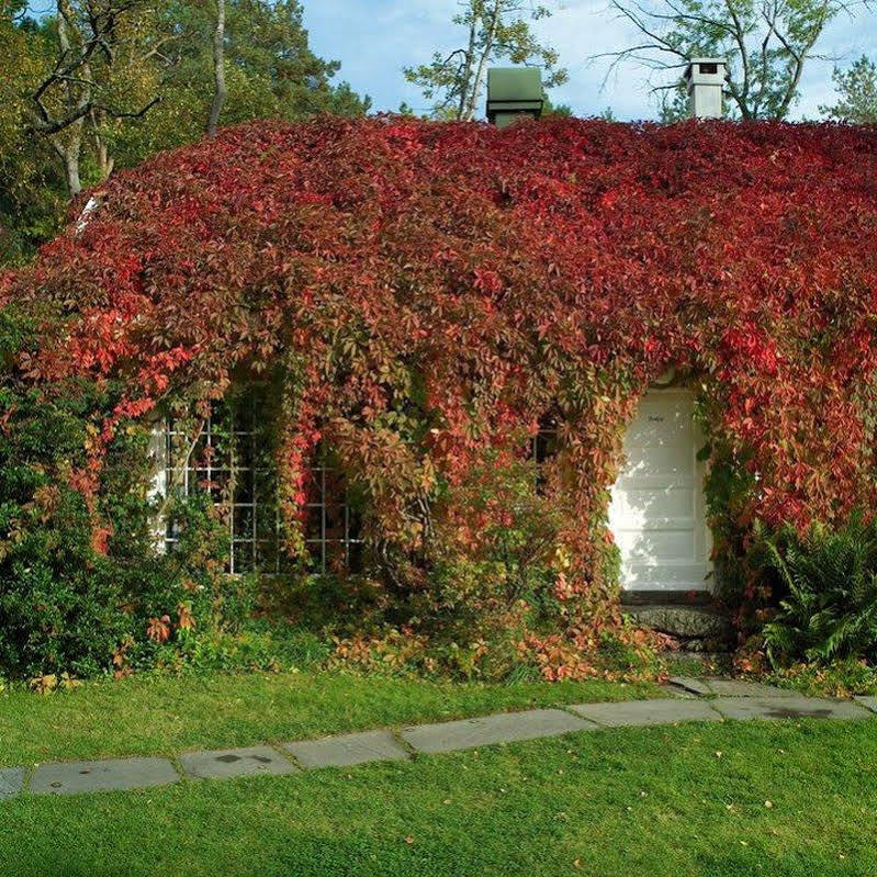 Engo Gard Hotel & Restaurant Tjøme Exterior foto